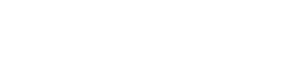 TheStem